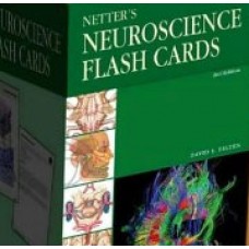 Netter’s Neuroscience Flash Cards 2e